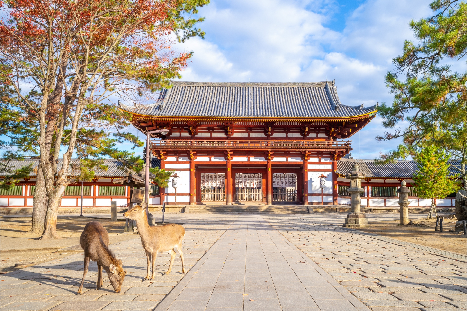 Nara