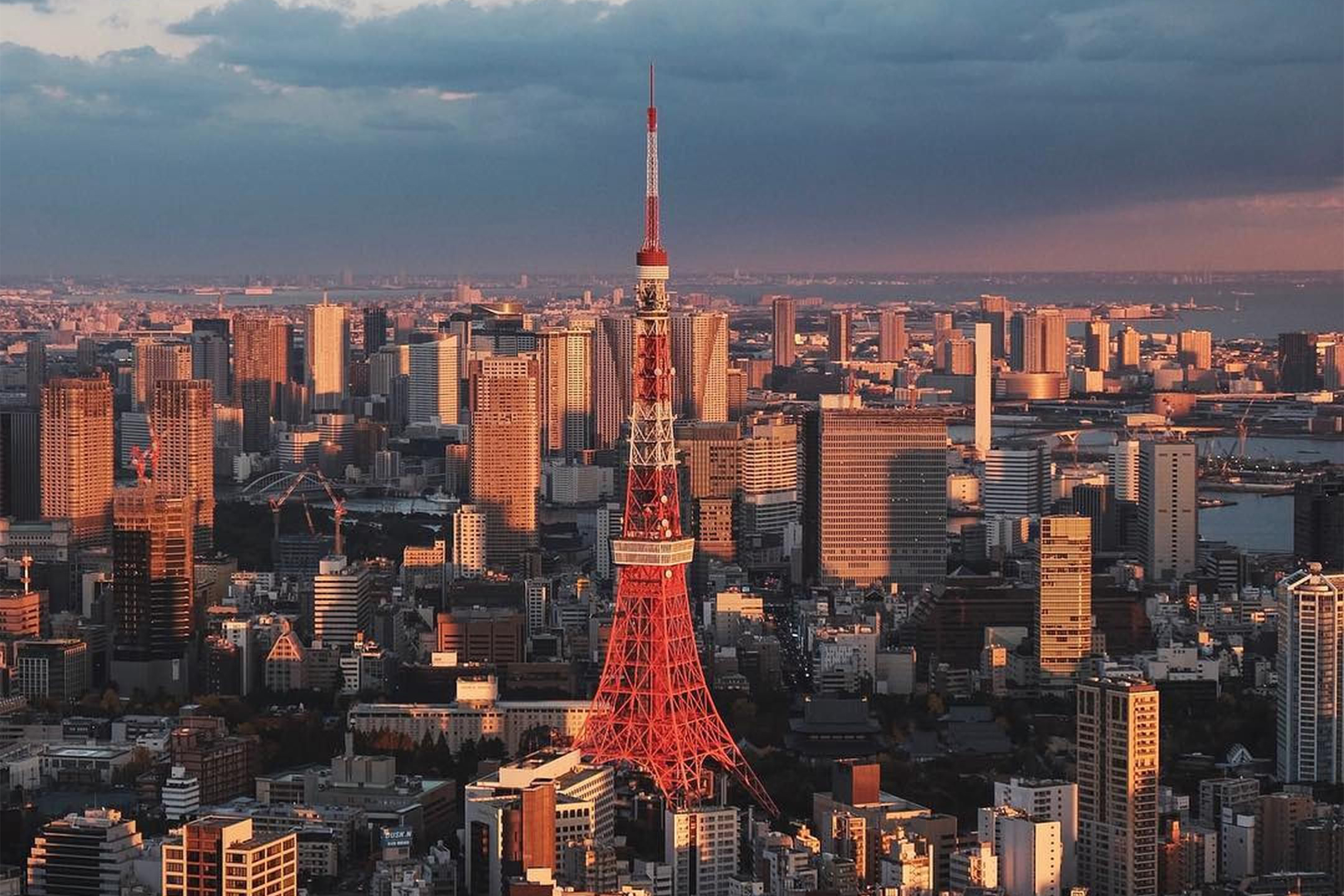 Tokyo City Tour