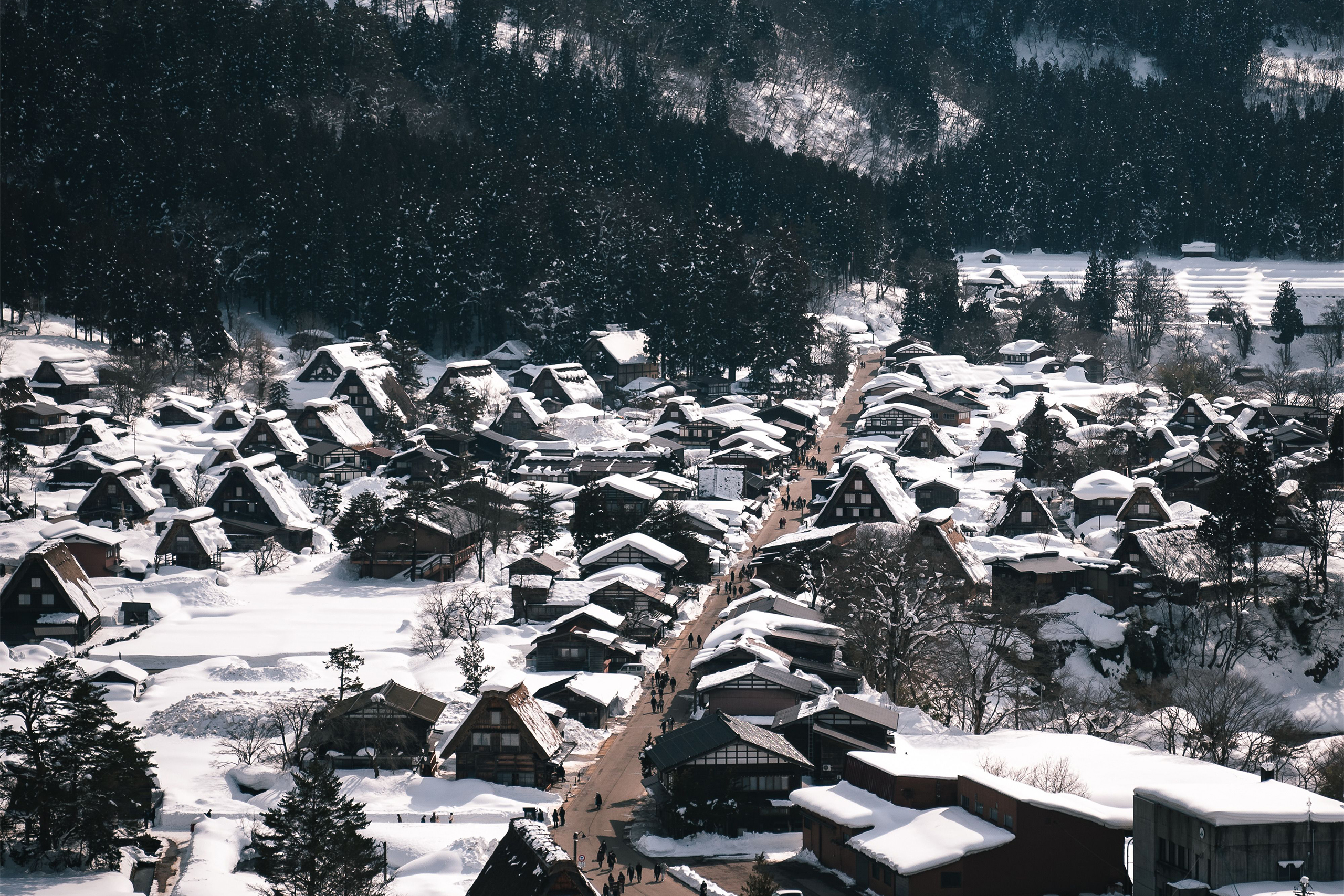 Shirakawago Tour